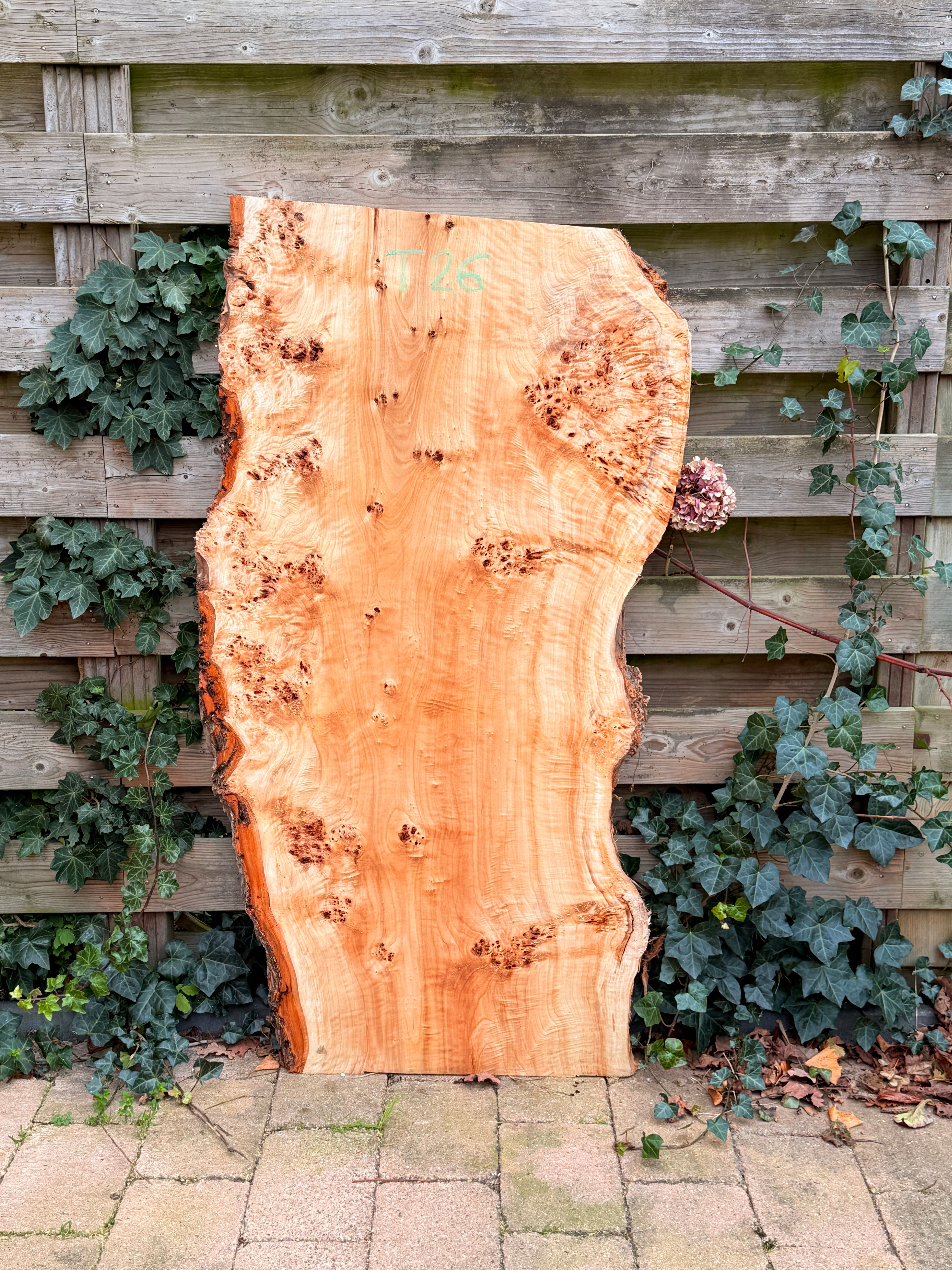 Populieren Houten Plank - T26 (Zelf Ophalen)