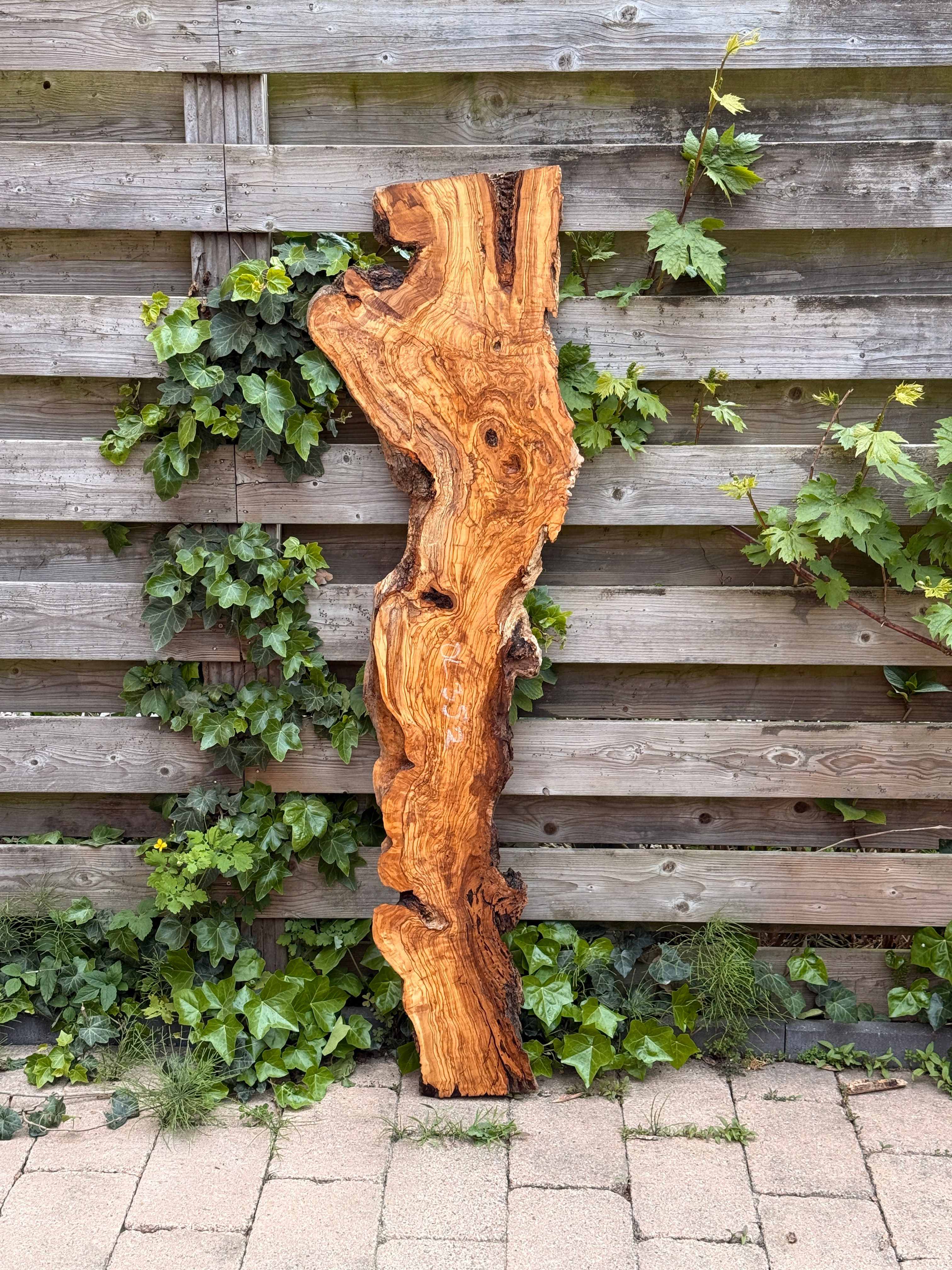 Olijf Houten Plank - OL352