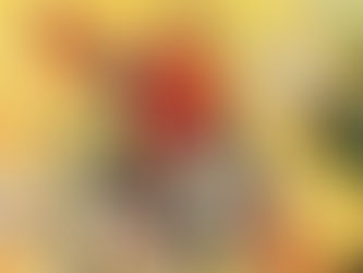 Mulher na geladeira e outros problemas: a representação feminina nas histórias em quadrinhos