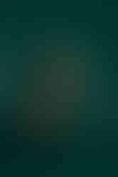 9F16E5CF-1FF7-41FB-9EE1-92C2D8396D76