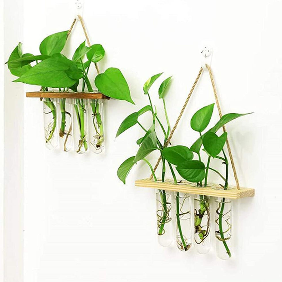 Thumbnail: Test Tube Flower Vases Hanging Glass Planter