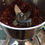 Thumbnail: Loco Cluckers Trail Mix | 9 oz Bag