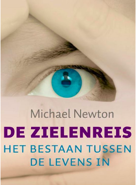 Zielenreis