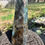 Thumbnail: Dark Labradorite Obelisk