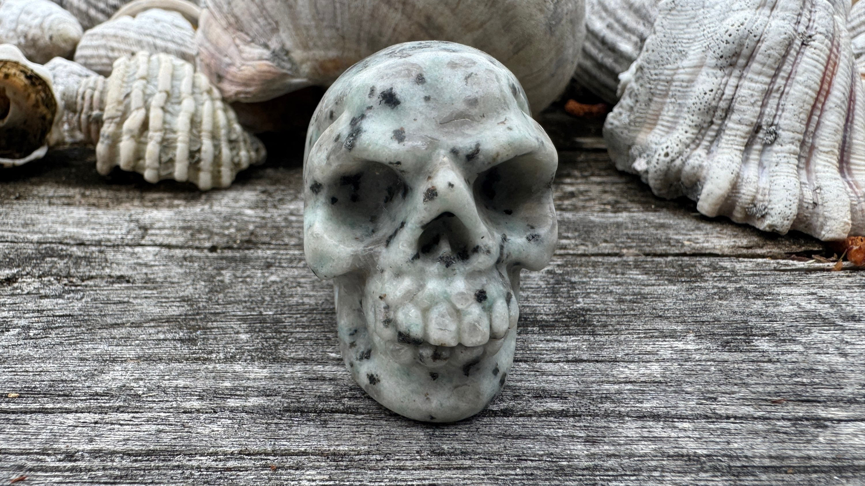 Kiwi Jasper Skull - 50mm