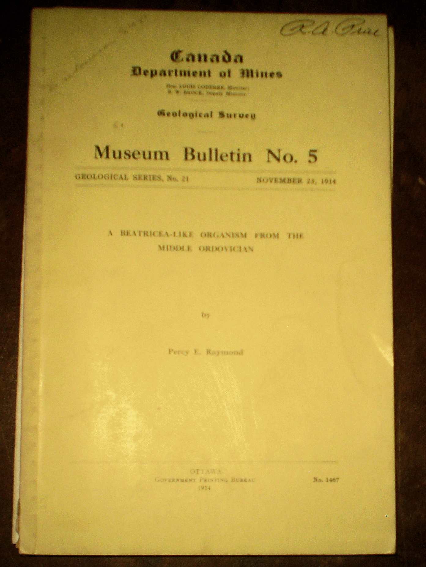 CanMuseumBull21.gif