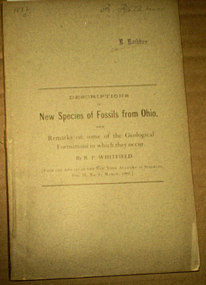 OHnewfossilspeciesWhitfieldWS.gif