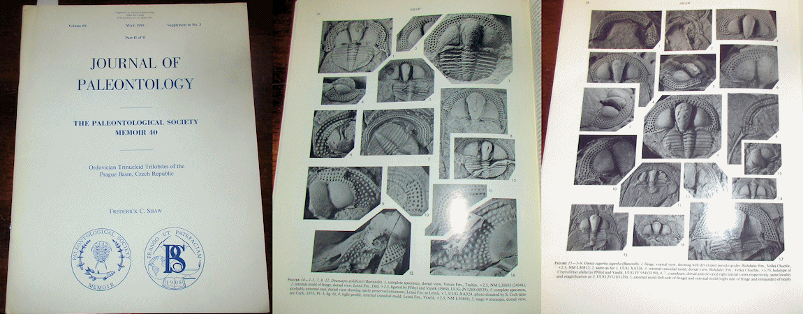 TrilobitesCzech.gif