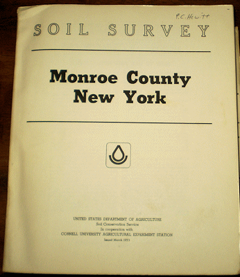 NYsoilsMonroeWS.gif