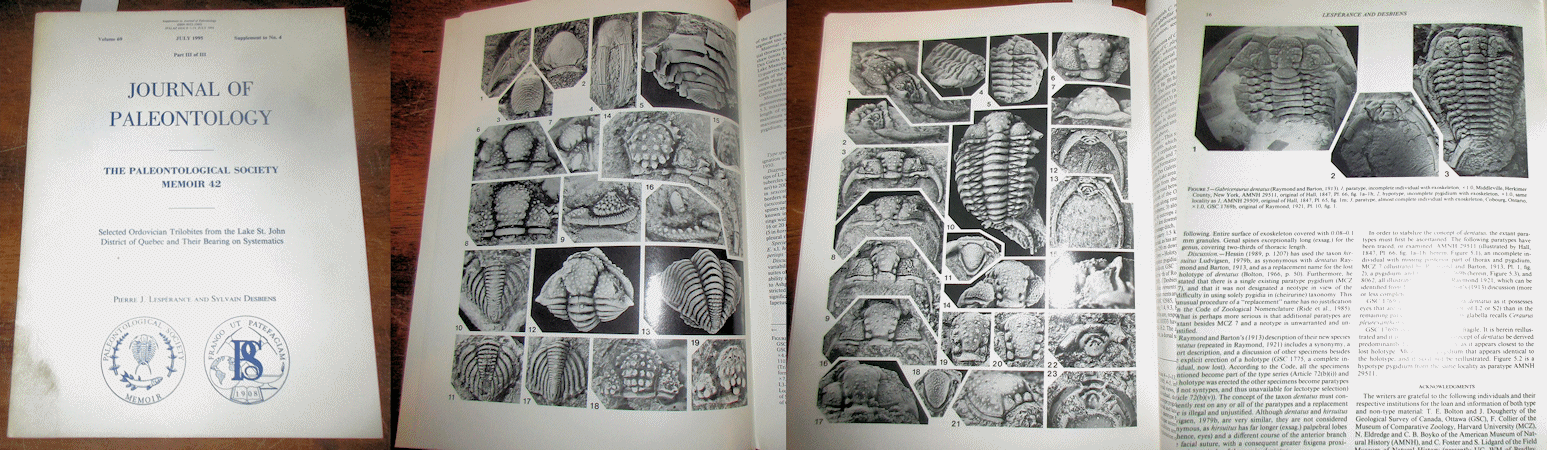 TrilobitesQuebec.gif