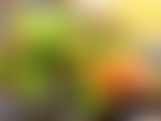 大分ローカルタレント 夜ご飯