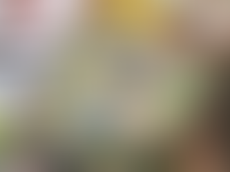 去年の今頃は…