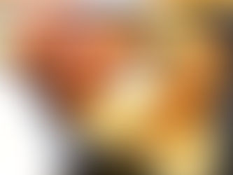 熊本ローカルタレント的 グルメ弁当