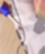 ree