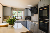 Modern kitchen with gray cabinets and a potted plant.