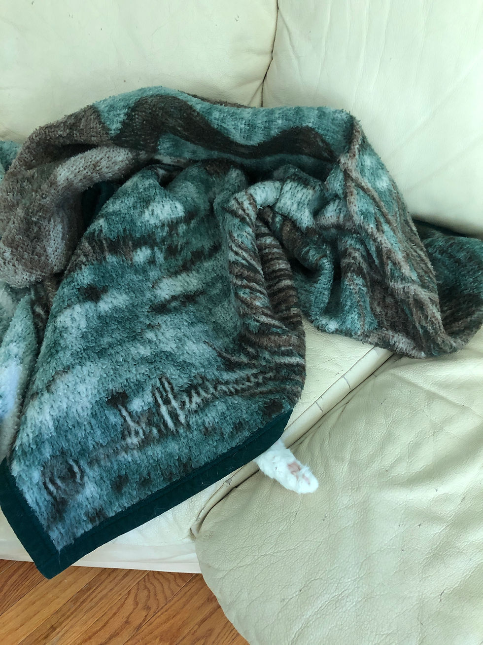 Cat paw sticking out from under a blanket