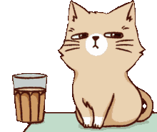 naughty-cat-ezgif.com-gif-maker.gif