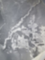ree