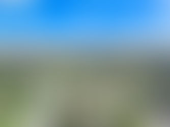 Ranch-Style Home GUIDE in Plantation Gardens, FL