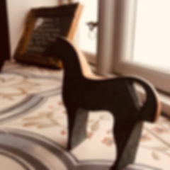 IMG_2786.jpeg