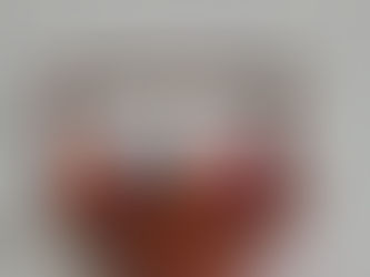 Silk Museum by Barbara Barlow