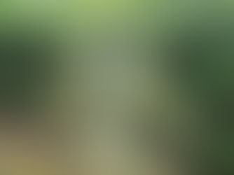 Silk Museum by Lorna Green