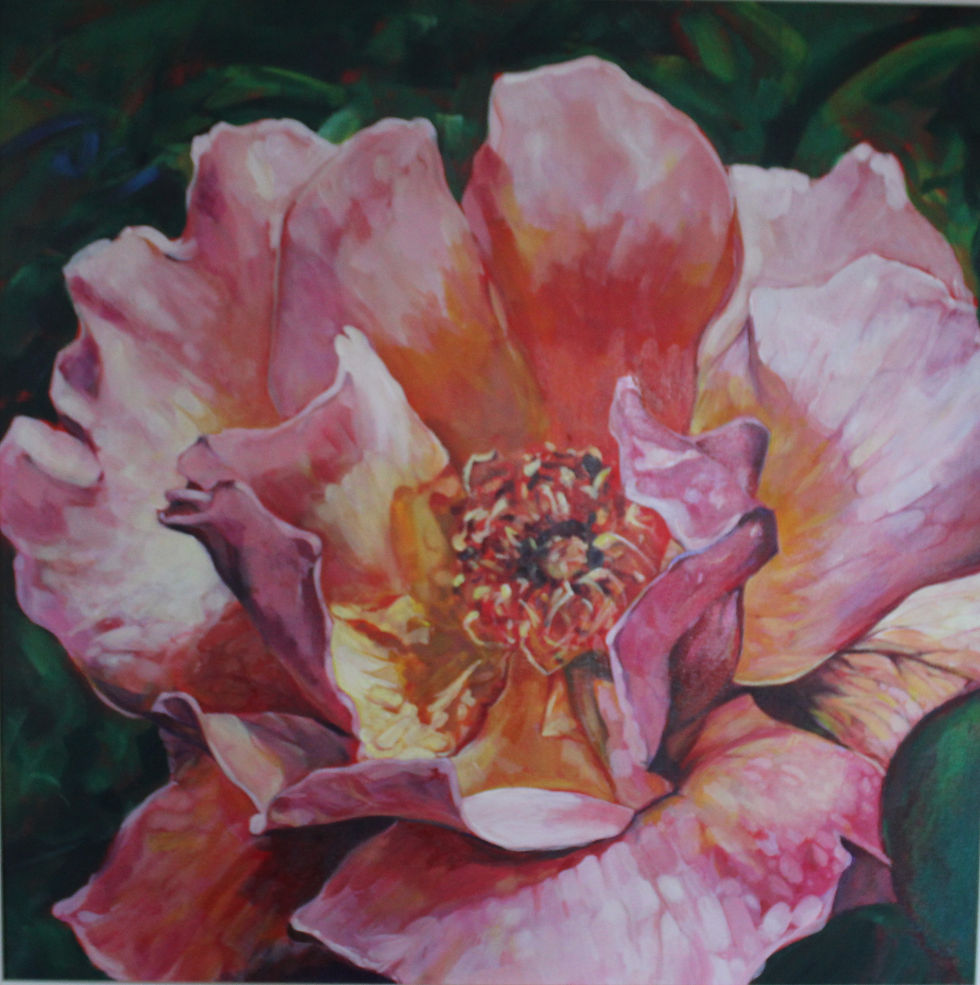 MALCOLM POWELL PEMBROKSHIRE ROSES 2