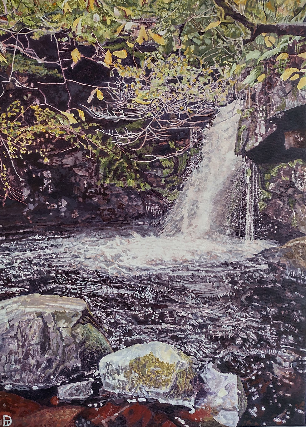 A Scotish Waterfall