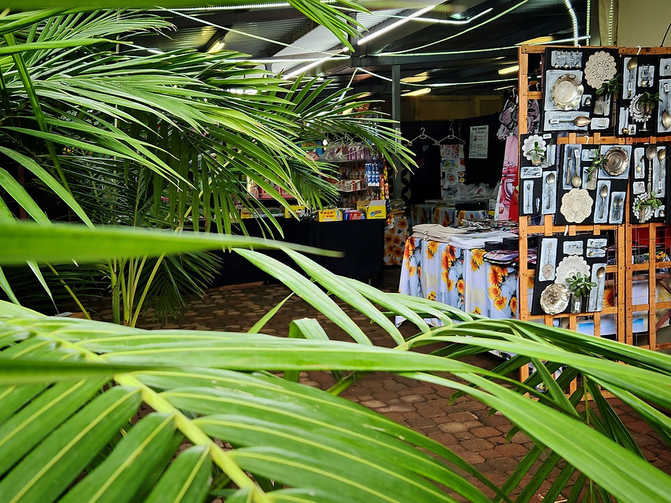 517698328_10234978894471513_5107137368409064907_n