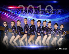 TGS Silver 8x10.jpg