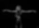 bf6a7559bw.heic