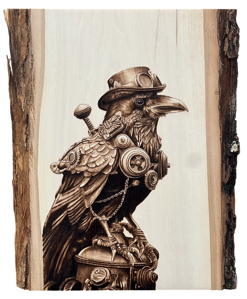 Raven-copy-Photoroom.gif