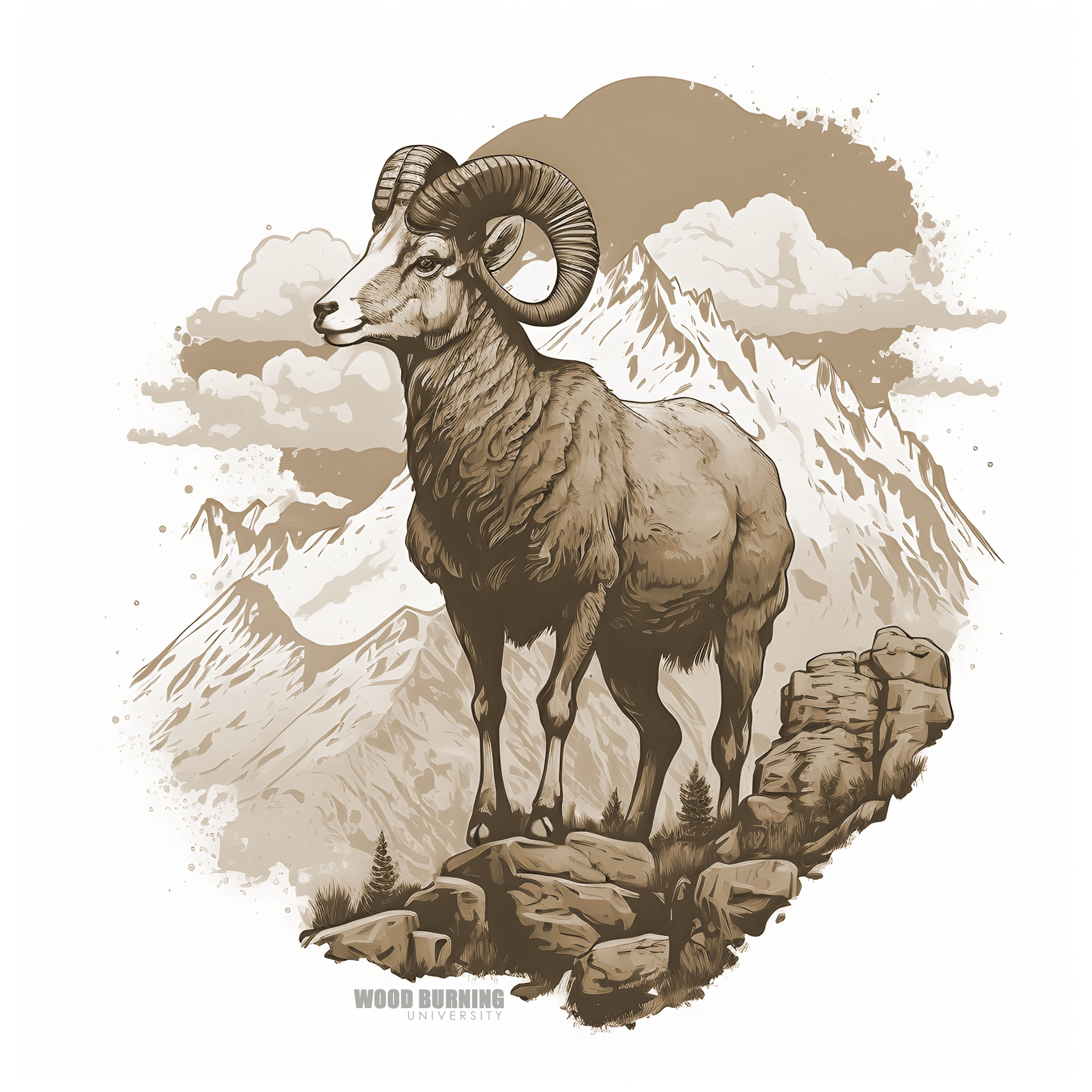 Bighorn Sheep on Rocks