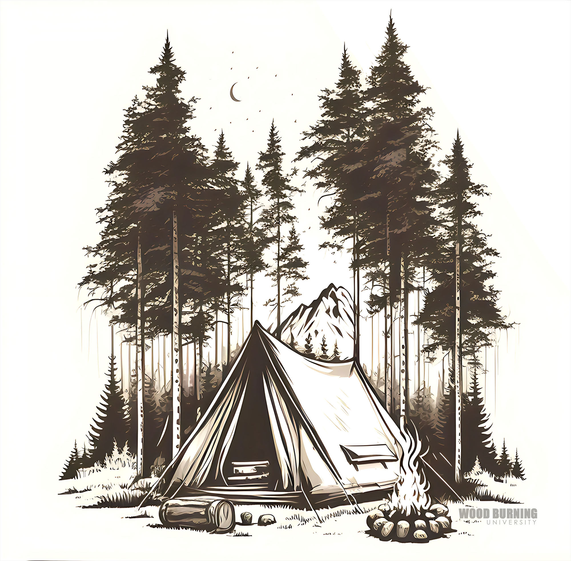 Camping in the Trees