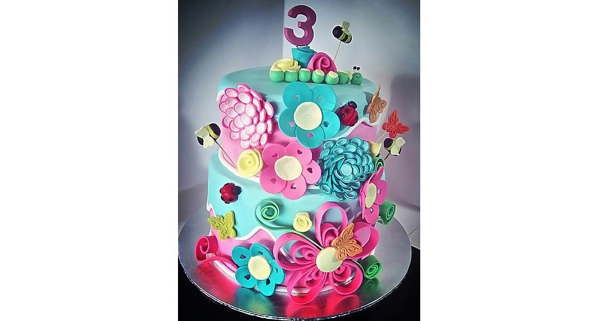 Piccake PRINTED PIC CAKES | dccs