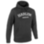 H/A thick hoodie (Classic)