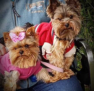 Sir and Lady.jpg