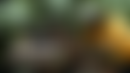 The Route to Emancipation