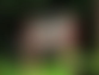 KBTC Northwest Now: The Anarchists of Home