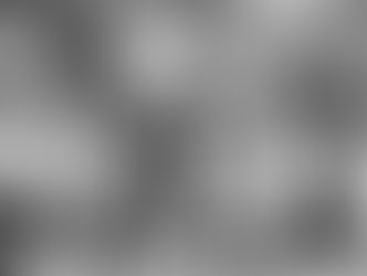 With a Made Up Mind: History of the Black Vote in Southwest Florida