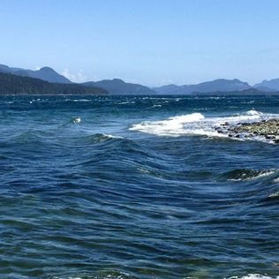 Wind, Surf, and the Paddler