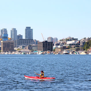 Paddling Techniques: Stroke Fundamentals