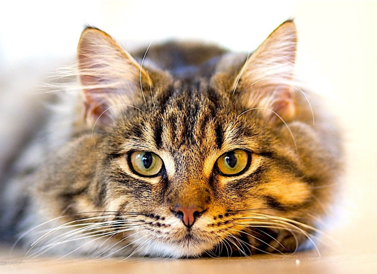 Screenshot 2025-09-04 at 13.53.00.png