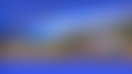 Web Agency in Campania: Marketing Digitale per Aziende Agricole, Cantine e Produttori Locali