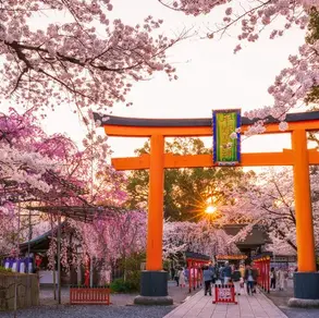 Hanami: a tradição mais encantadora do Japão