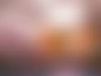 Hanami: a tradição mais encantadora do Japão