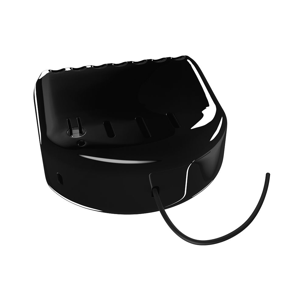 Thumbnail: Fibaro Single Switch 2