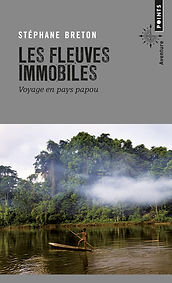 Couverture du livre "Les fleuves immobiles"