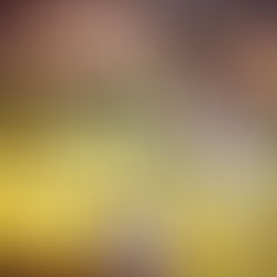 Chorizo Burgers with a Creamy Cheese Filling