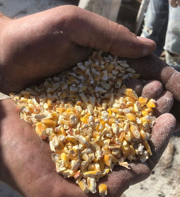 A Practical Guide to Livestock Roller Mills For Feed Automatic AG